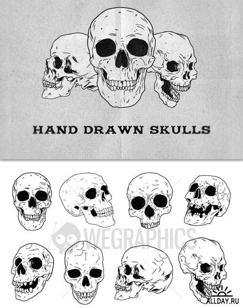WeGraphics - Hand Drawn Skulls