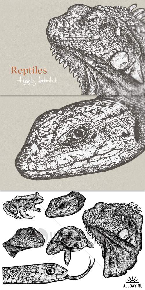 WeGraphics - Highly detailed cold-blooded animals